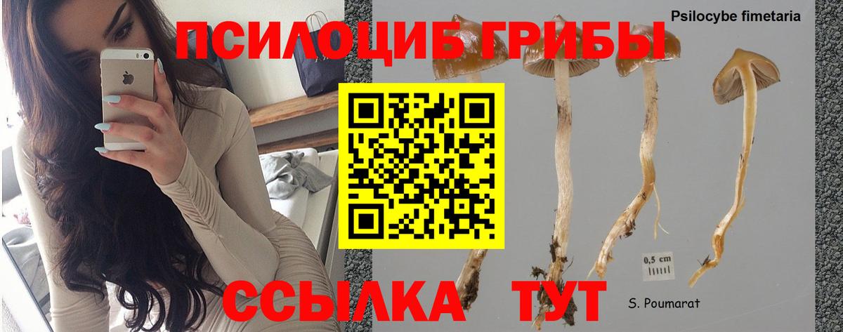 Галлюциногенные грибы ЛСД Острогожск